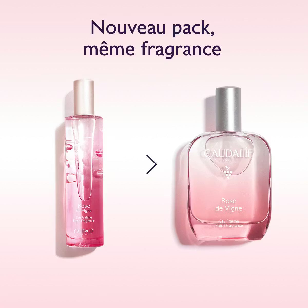 CAUDALIE Eau Fraîche Rose de Vigne-50ml