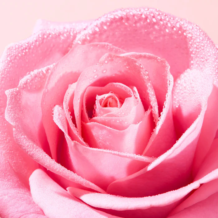 NUXE VERY ROSE Lotion tonique fraîcheur 200 Ml