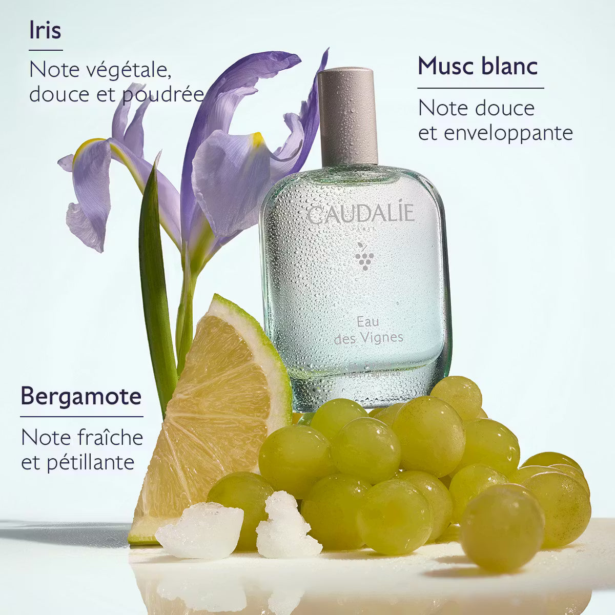 CAUDALIE- Eau Fraîche Eau des Vignes 50 Ml