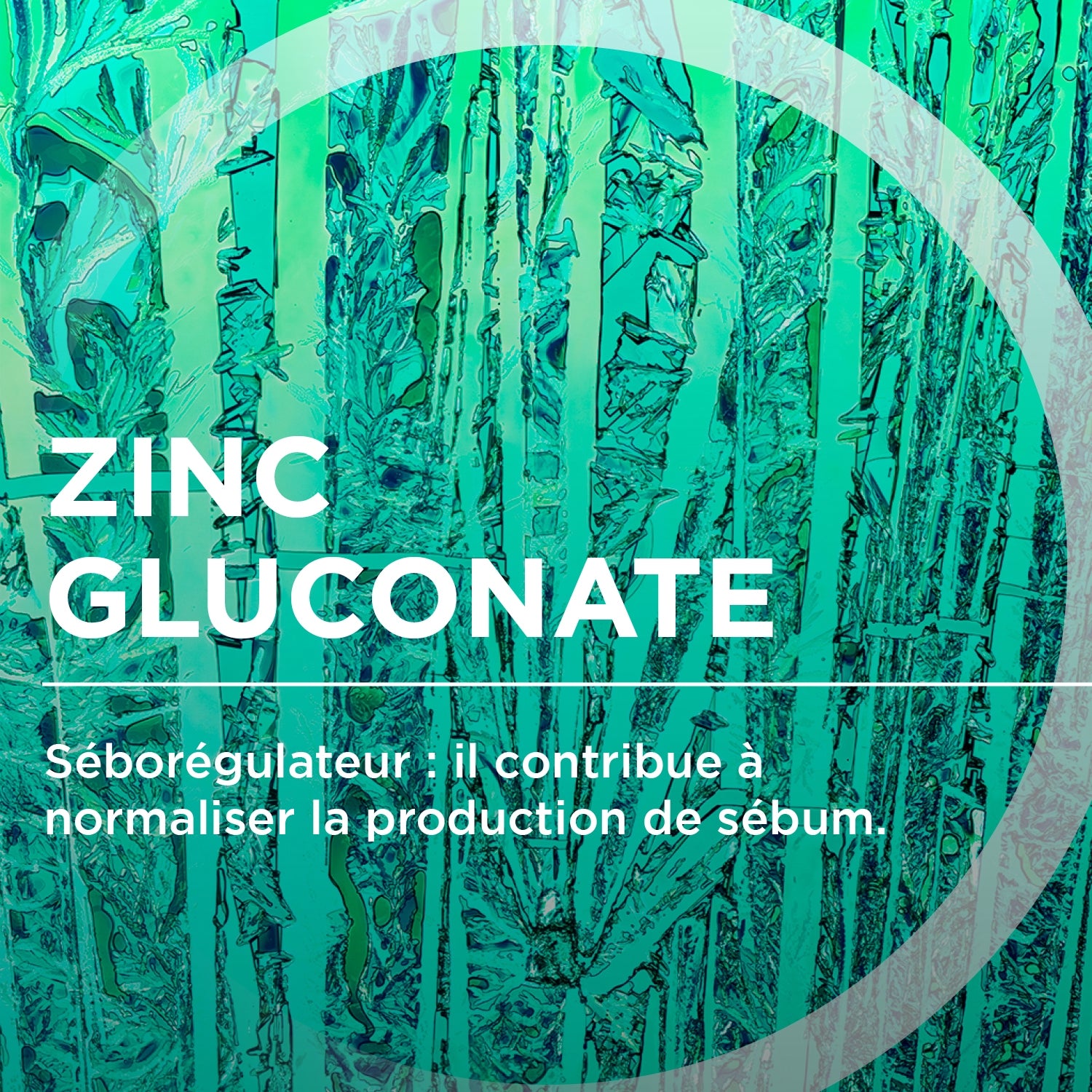 BIODERMA SEBIUM H2O MICELLAIRE 500ML