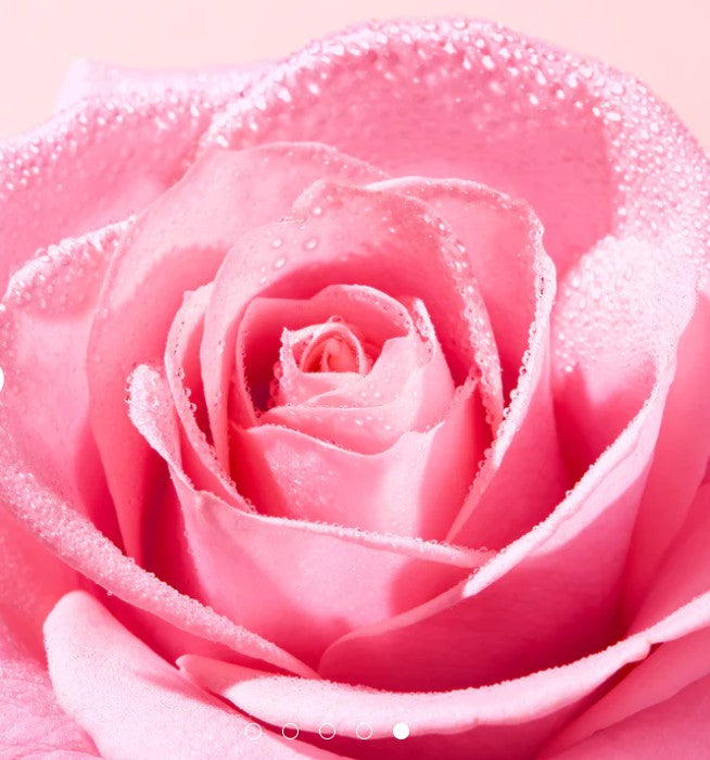 NUXE VERY ROSE Sérum Lèvres Repulpant 8 ML